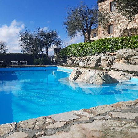 Borgo Livernano - Farmhouse With Pool Radda in Chianti Eksteriør billede