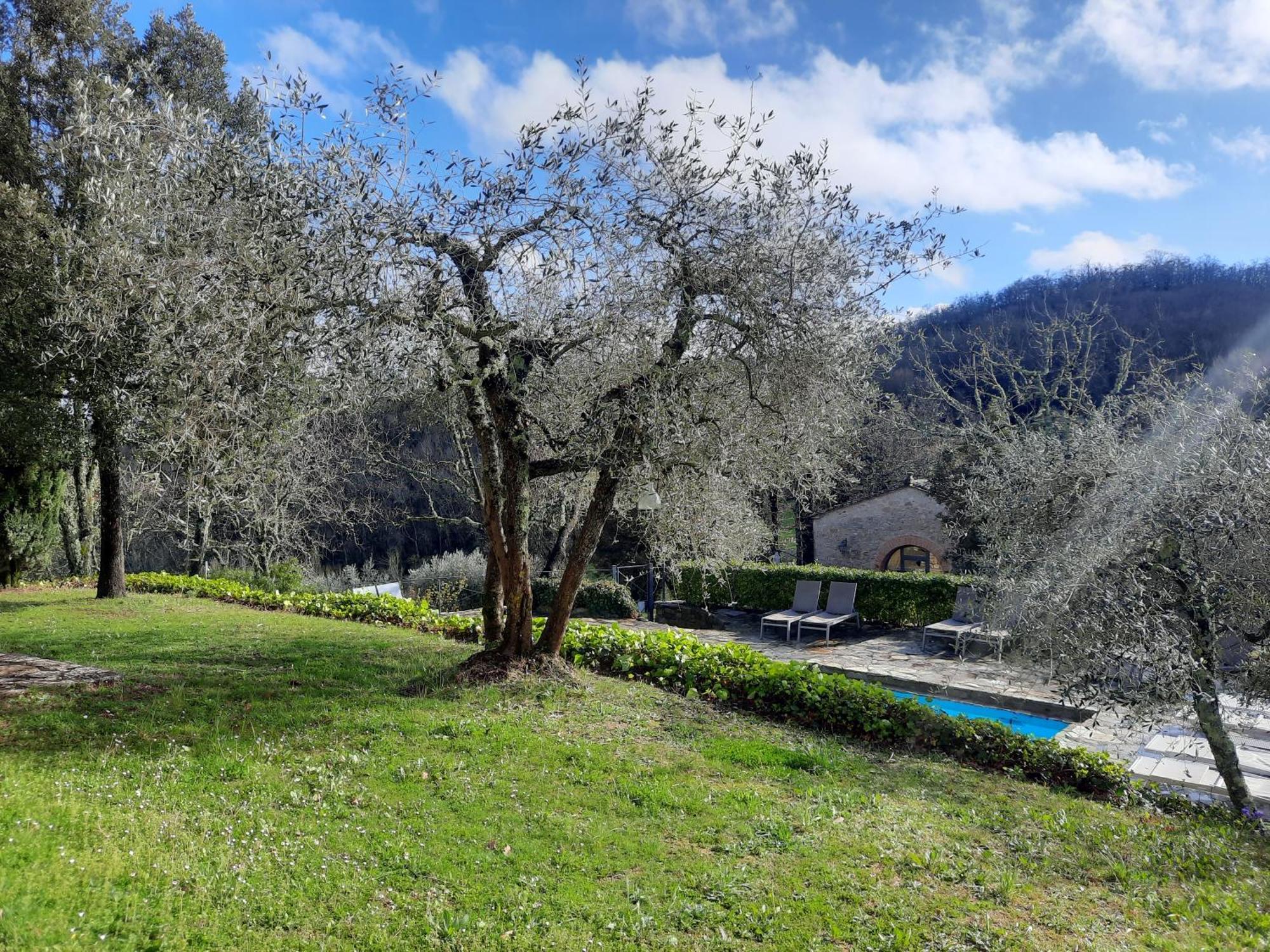 Borgo Livernano - Farmhouse With Pool Radda in Chianti Eksteriør billede